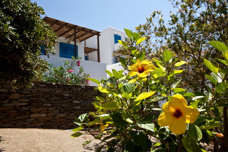Alexandros Hotel Platis Gialos  Exterior foto