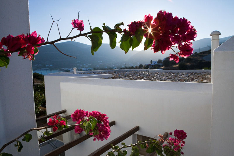 Alexandros Hotel Platis Gialos  Exterior foto